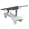 Afs Hydraulic Embalming Table 11027 - alternate 2